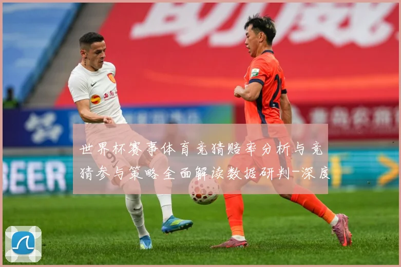 世界杯赛事体育竞猜赔率分析与竞猜参与策略全面解读数据研判-深度解析