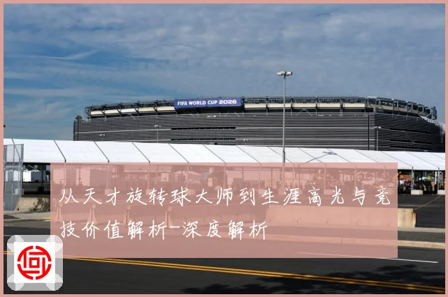 从天才旋转球大师到生涯高光与竞技价值解析-深度解析