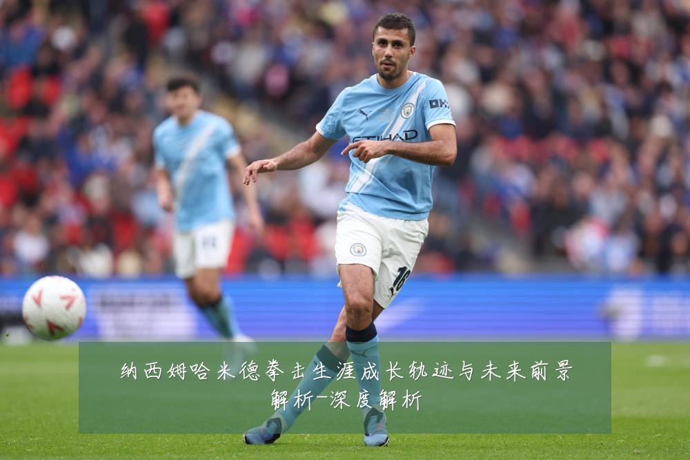 纳西姆哈米德拳击生涯成长轨迹与未来前景解析-深度解析